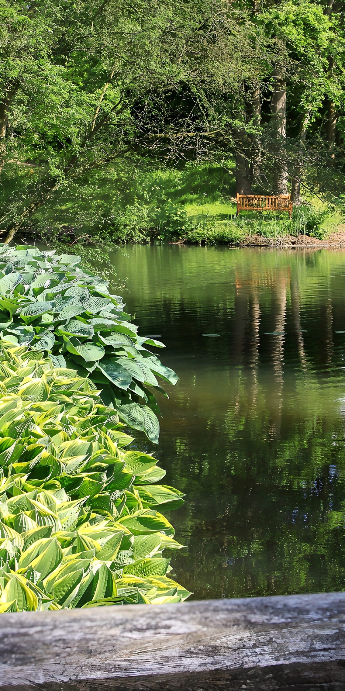 TPES90029: Estanque de jardín con banco