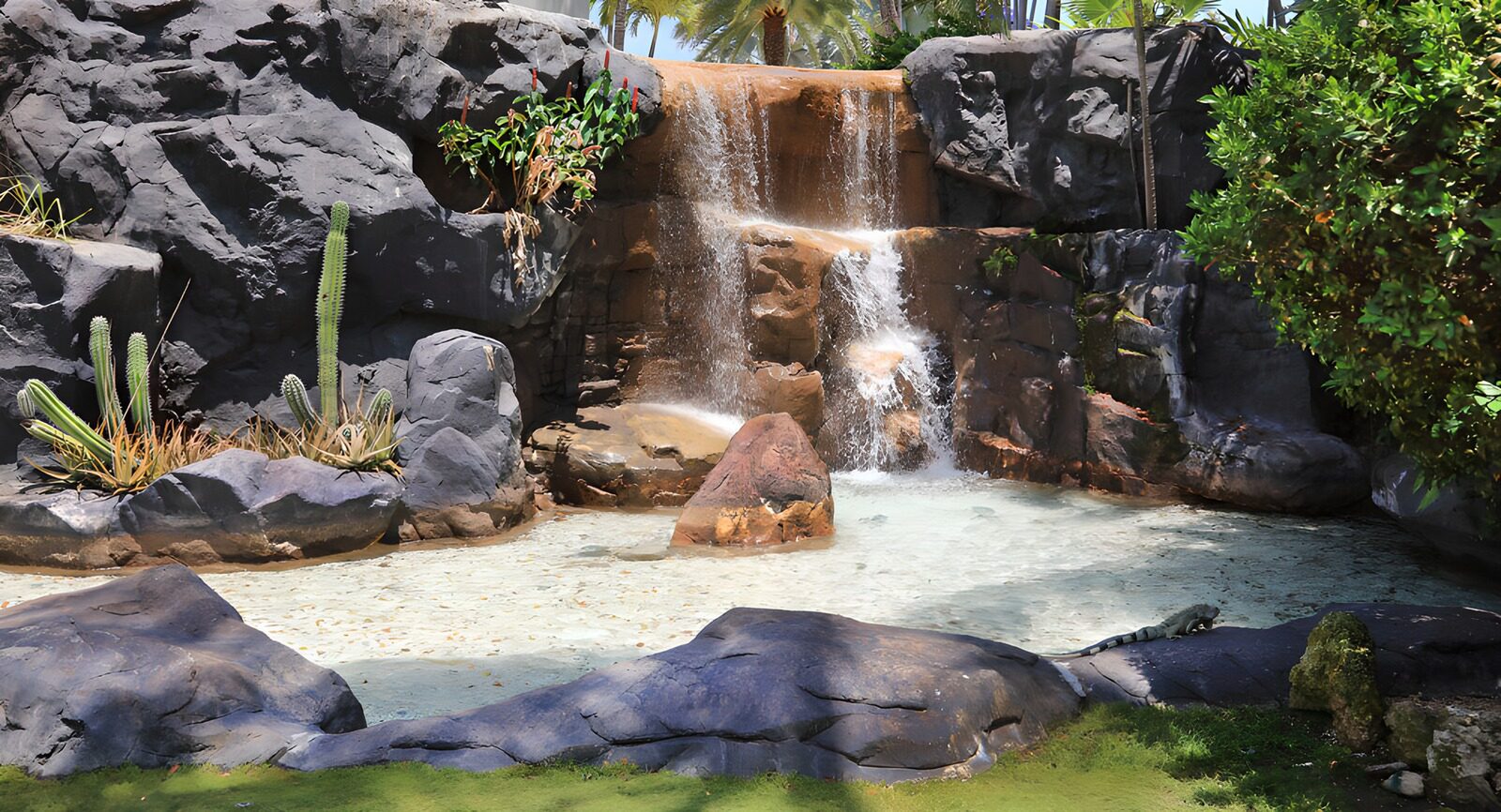 TPES65236: Cascada tropical con iguana entre rocas