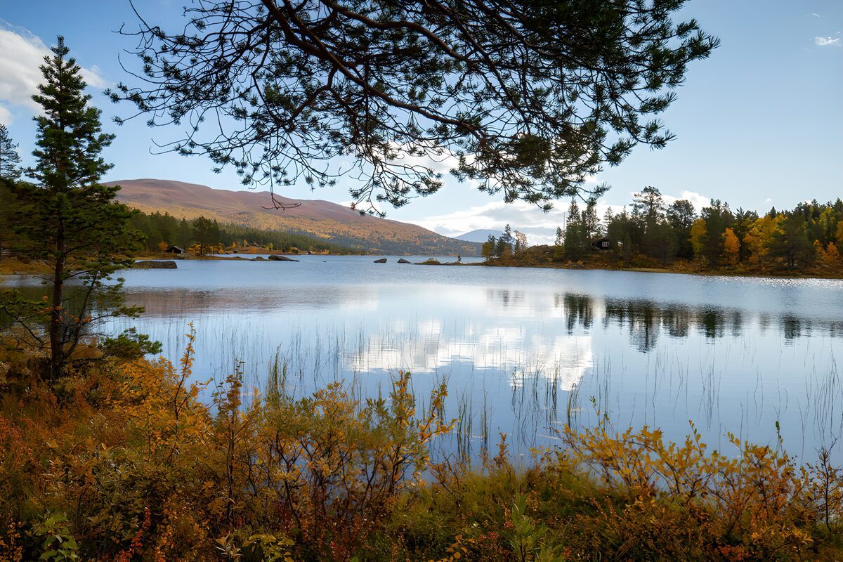 TPES54798: Lago en calma entre bosques de otoño