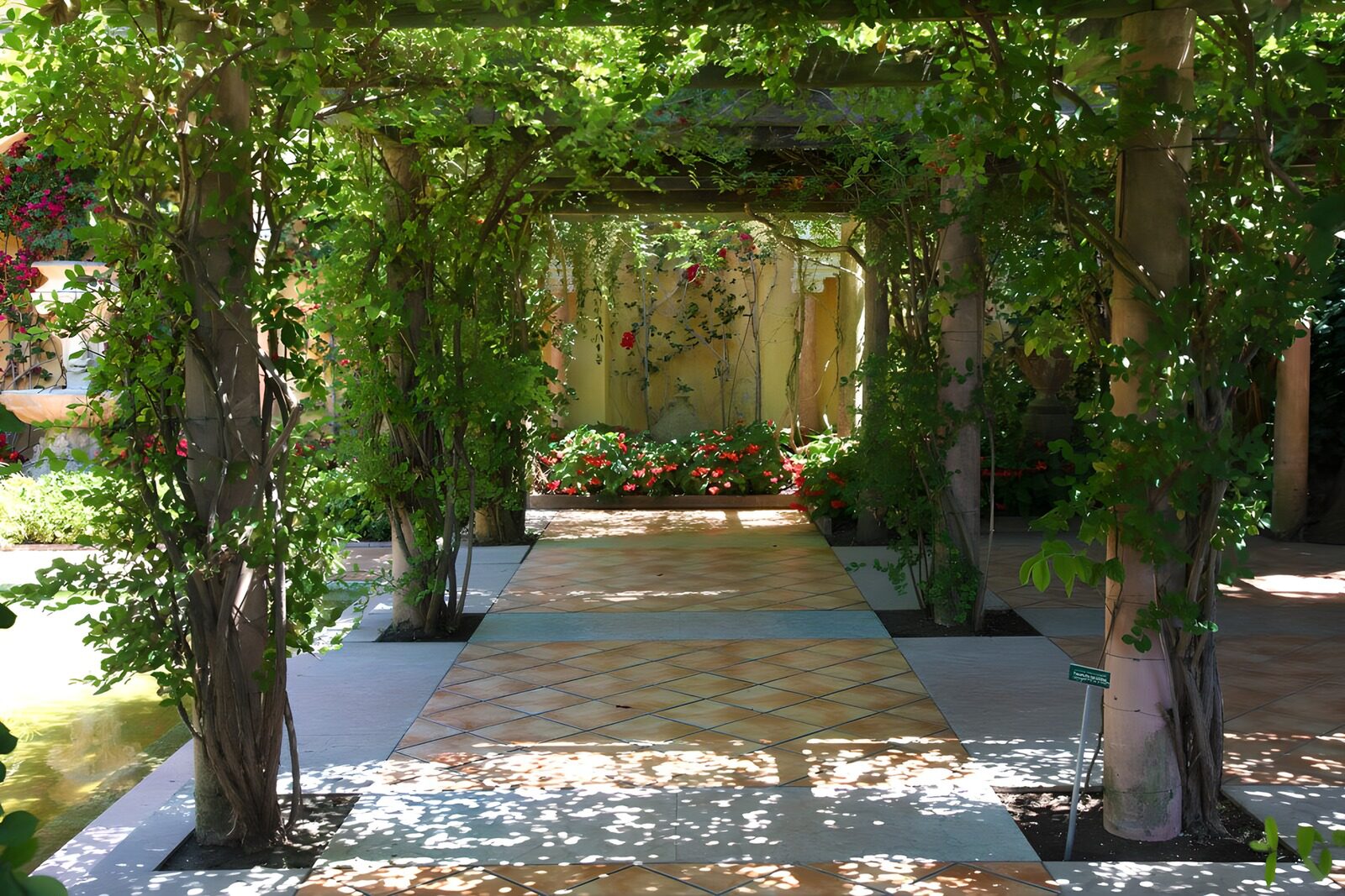 TPES64506: Camino de terracota bajo la pérgola