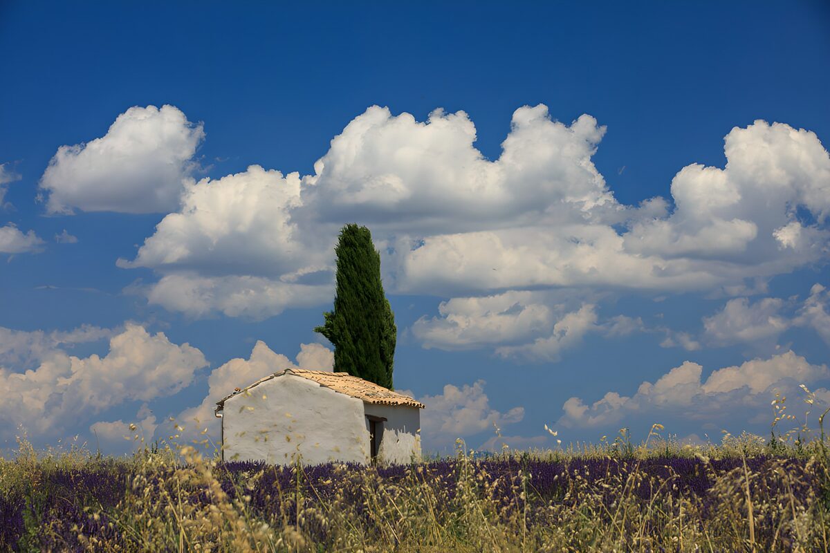 Casa y ciprés en un prado de verano