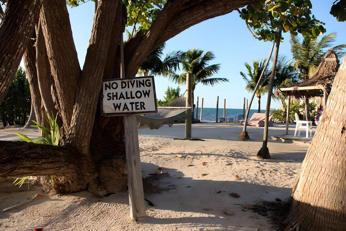 TPES82312: Playa tropical con hamaca a la sombra