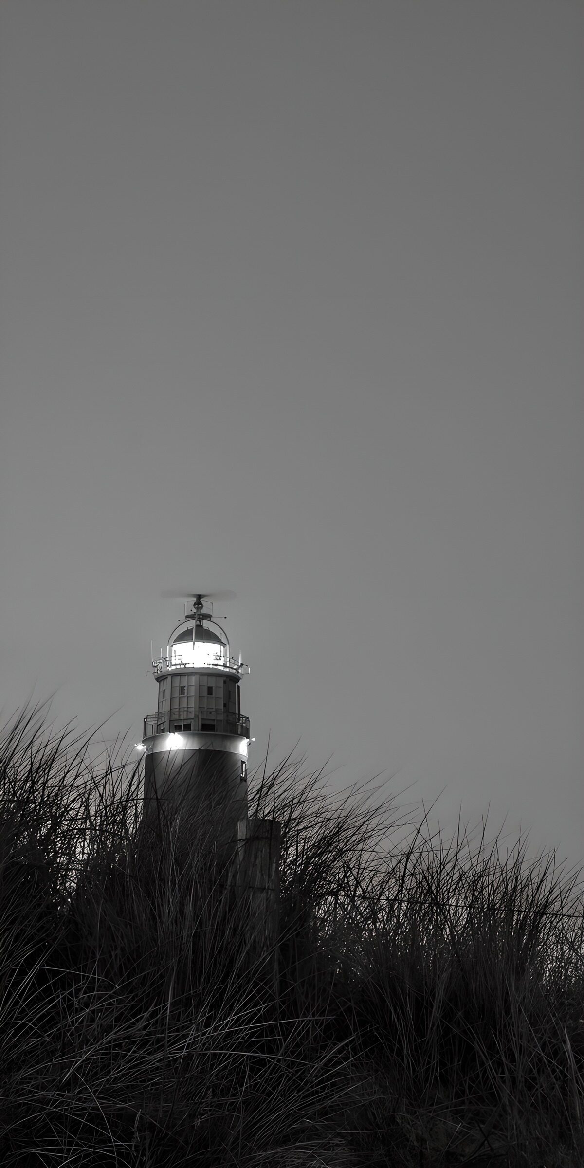 TPES60054: Faro entre hierbas en blanco y negro