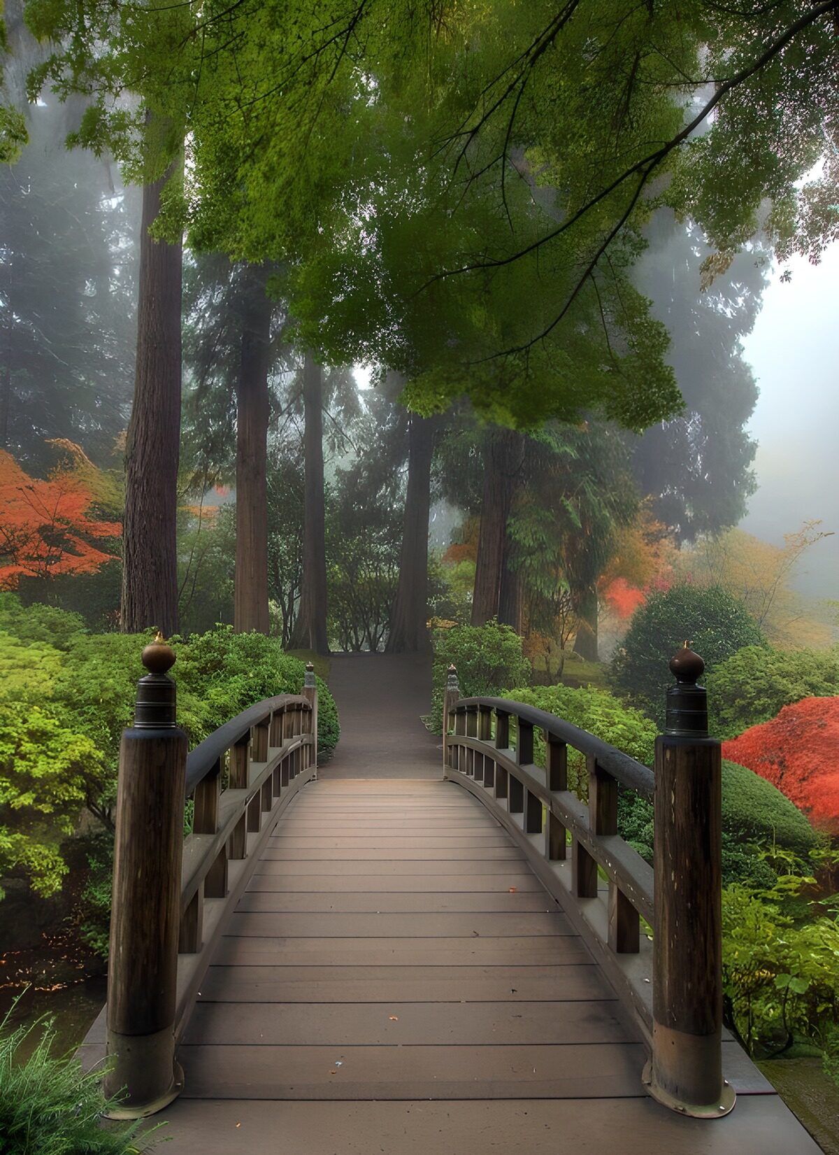 Puente de madera entre árboles y niebla