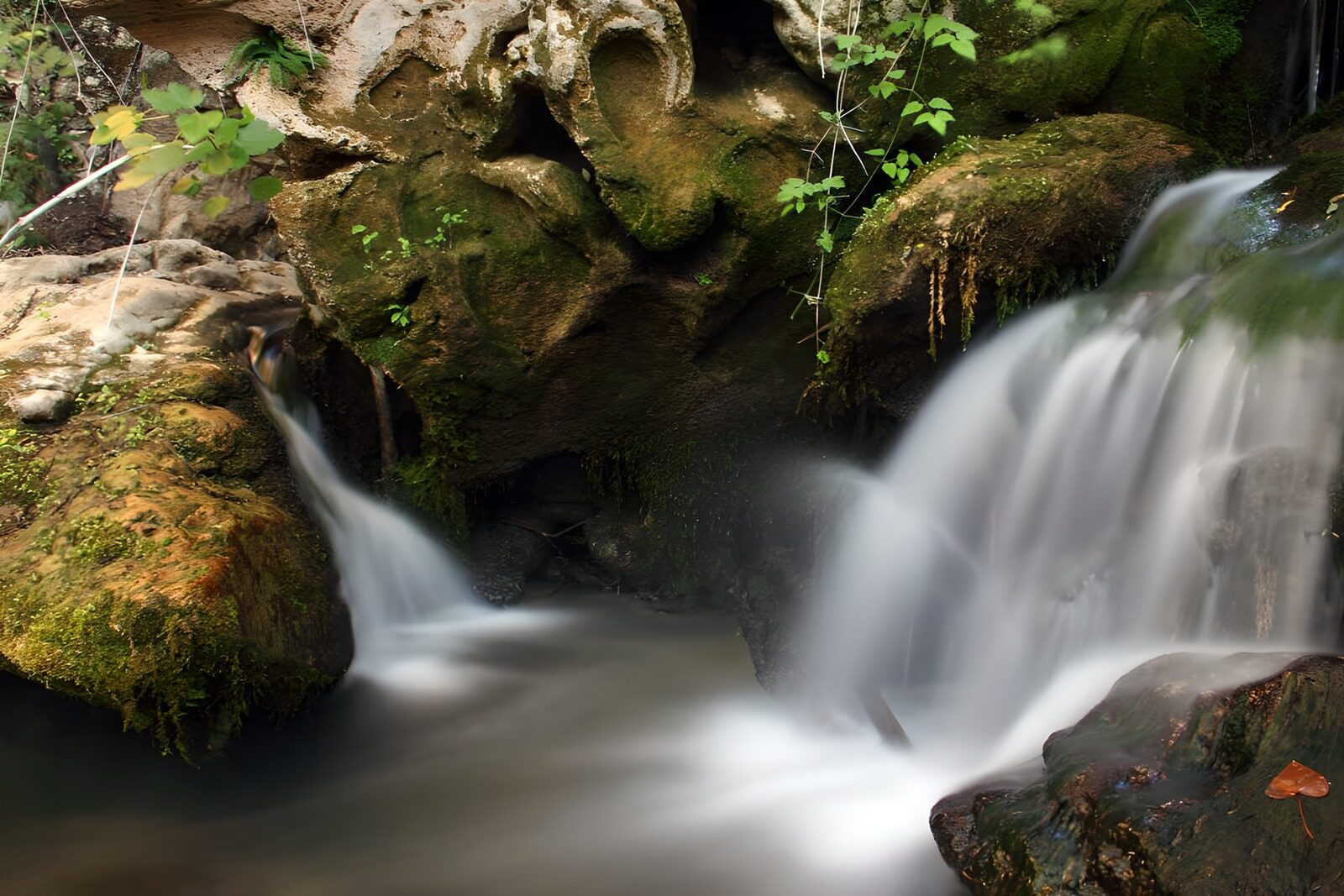 TPES64602: Pequeña cascada entre rocas y musgo