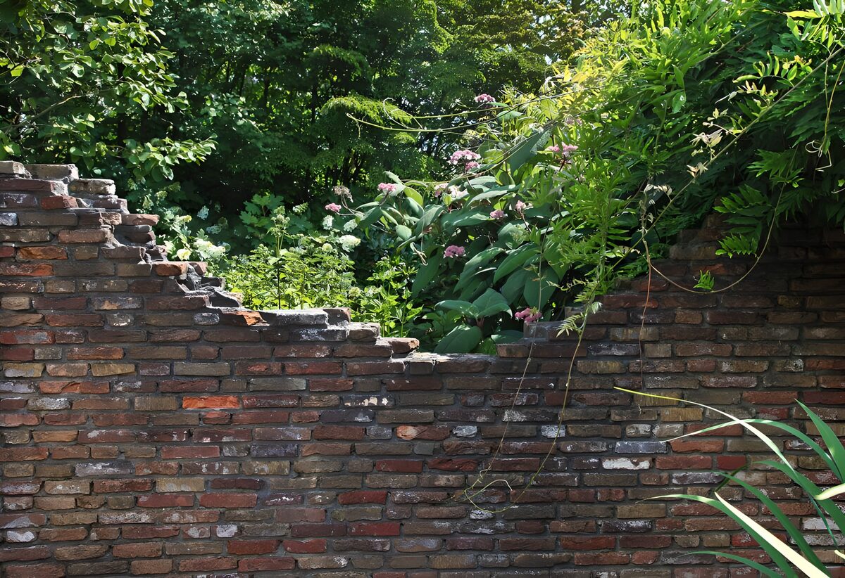 TPES80436: Muro de ladrillo entre la vegetación