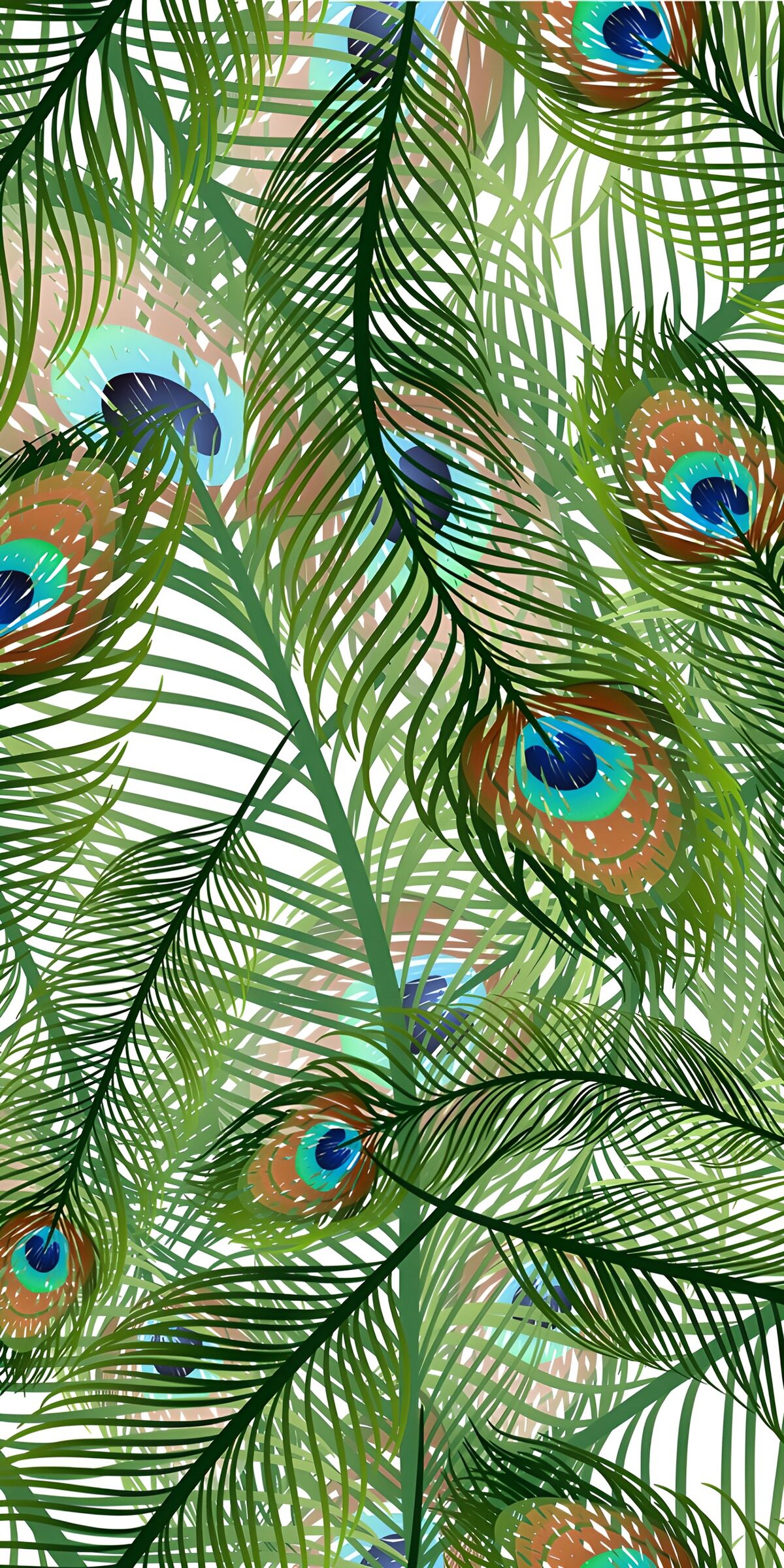 TPES21582: Plumas de pavo real entrelazadas