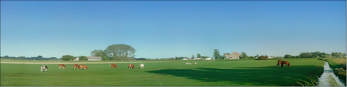 Vacas y caballos en la pradera