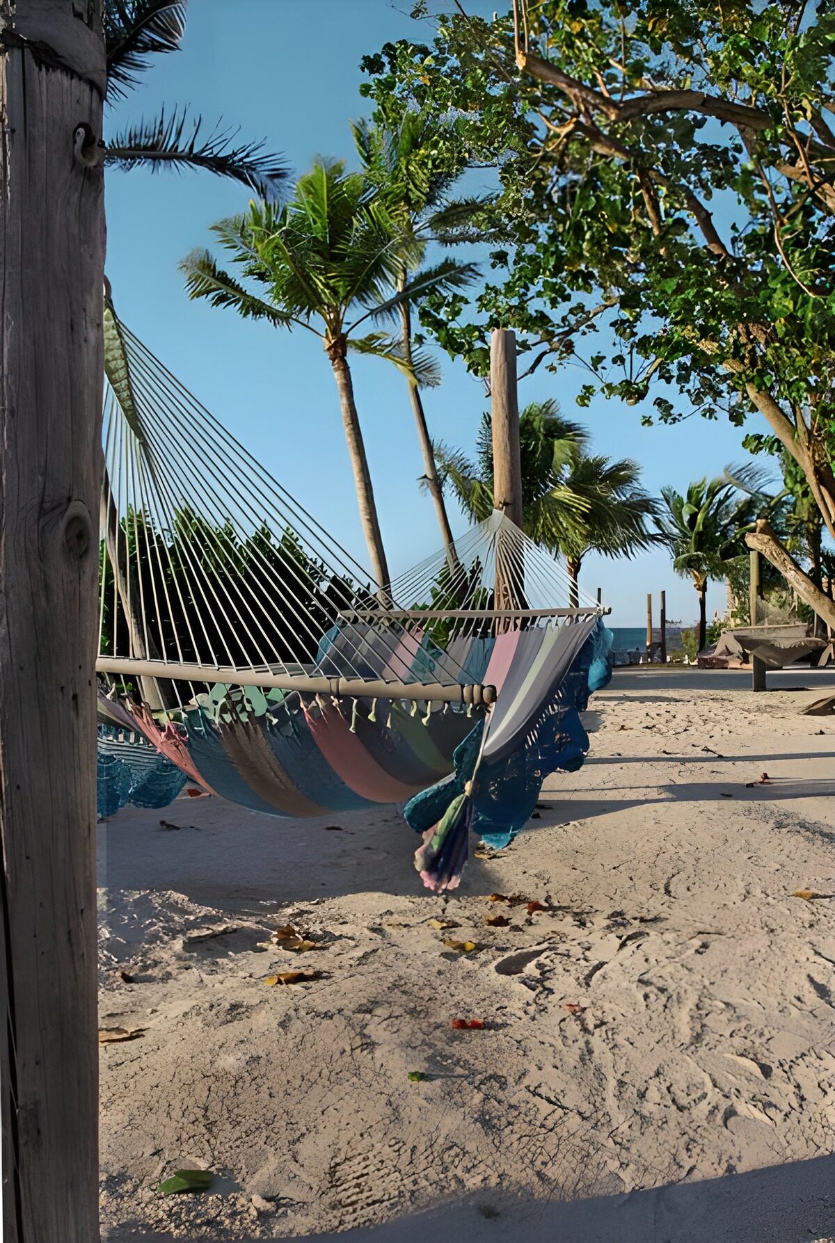 Hamacas de colores en una playa soleada