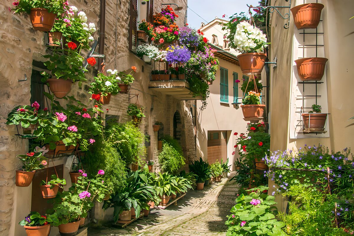 TPES37614: Callejón de piedra con flores al sol