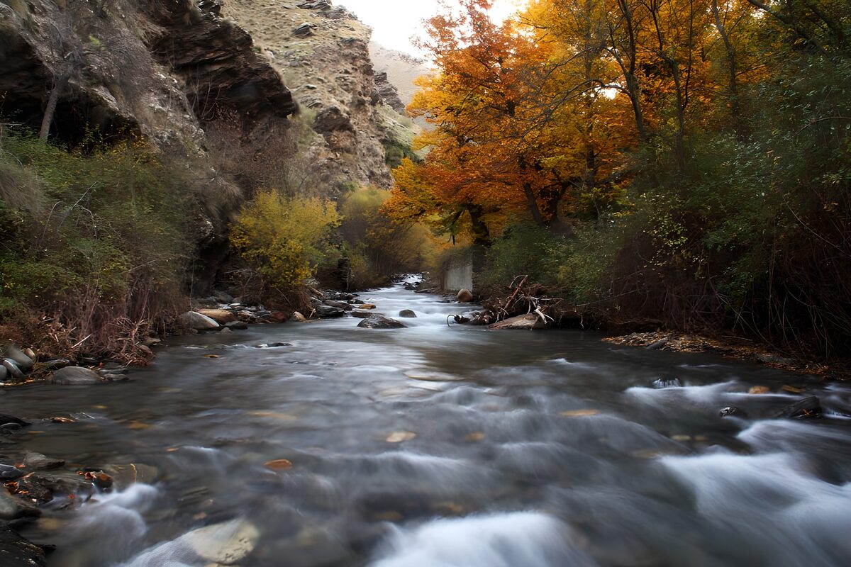 TPES49075: El otoño se asoma al arroyo