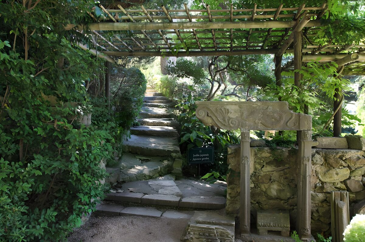 Escalera de piedra bajo la pérgola