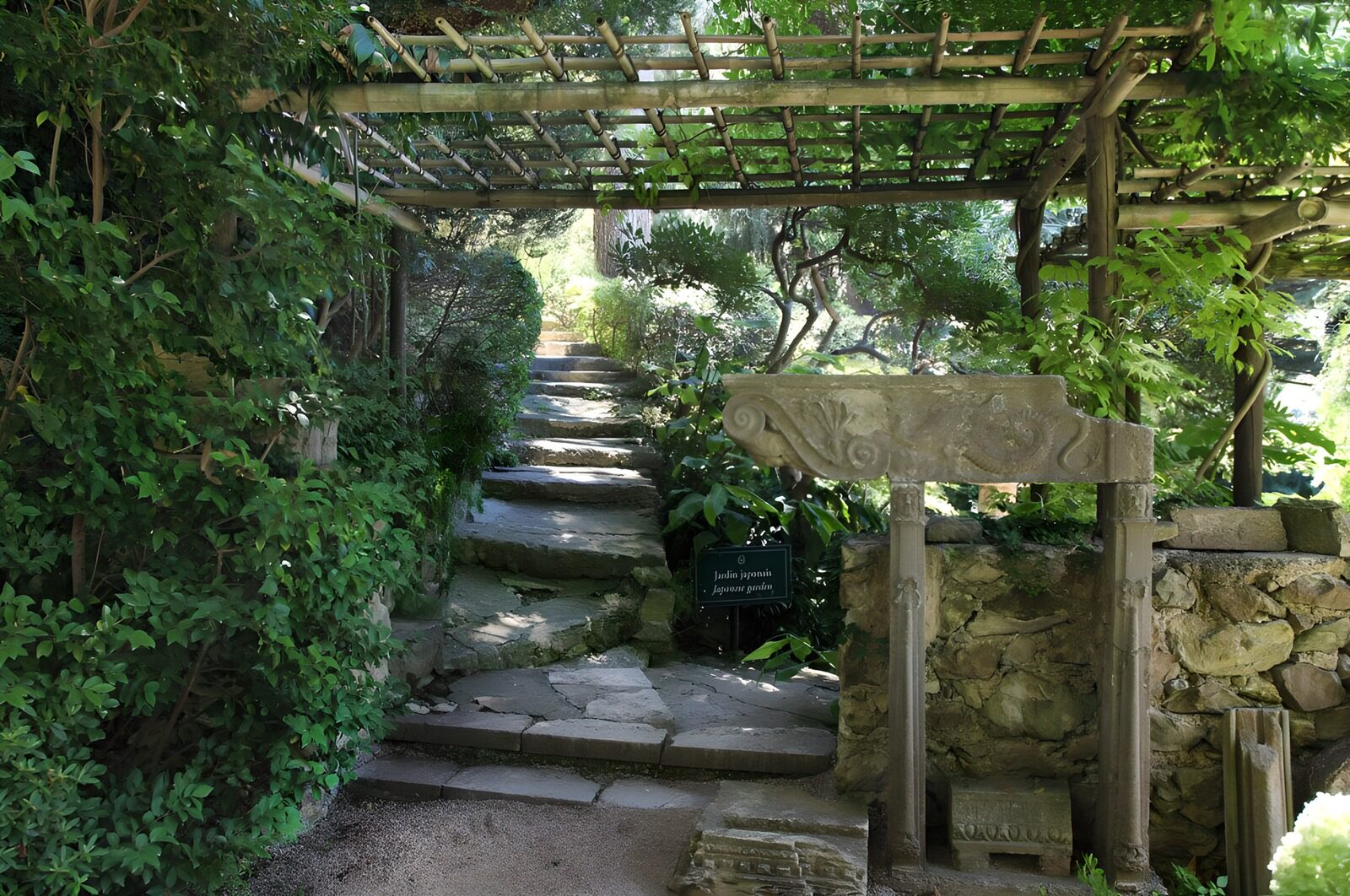 TPES38986: Escalera de piedra bajo la pérgola