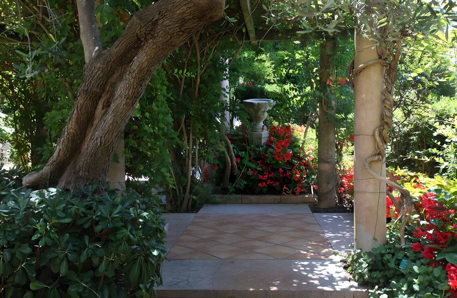 TPES98375: Pasillo de jardín entre columnas y sombra