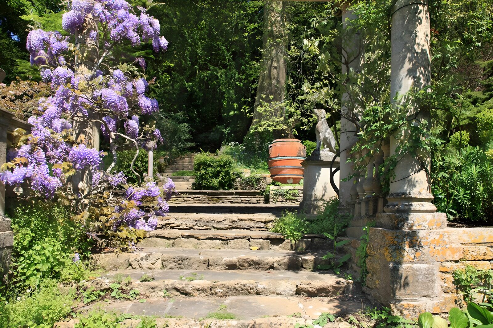 TPES89466: Peldaños hacia un jardín secreto