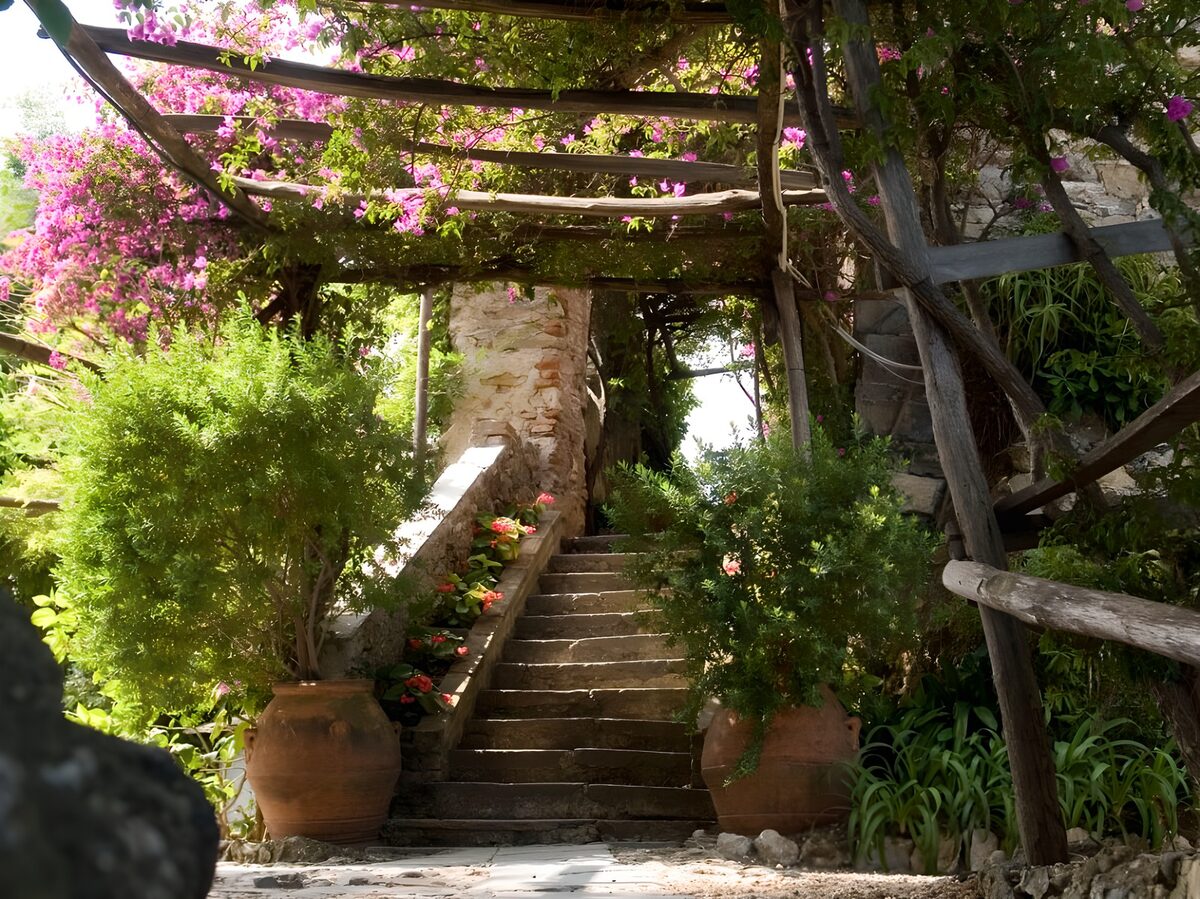 Escalera de piedra bajo una pérgola en flor