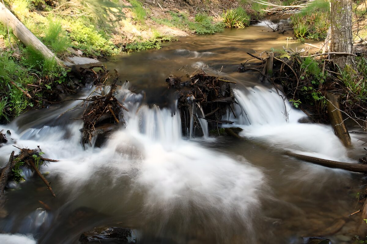 TPES67104: Cintas de agua blanca entre los árboles