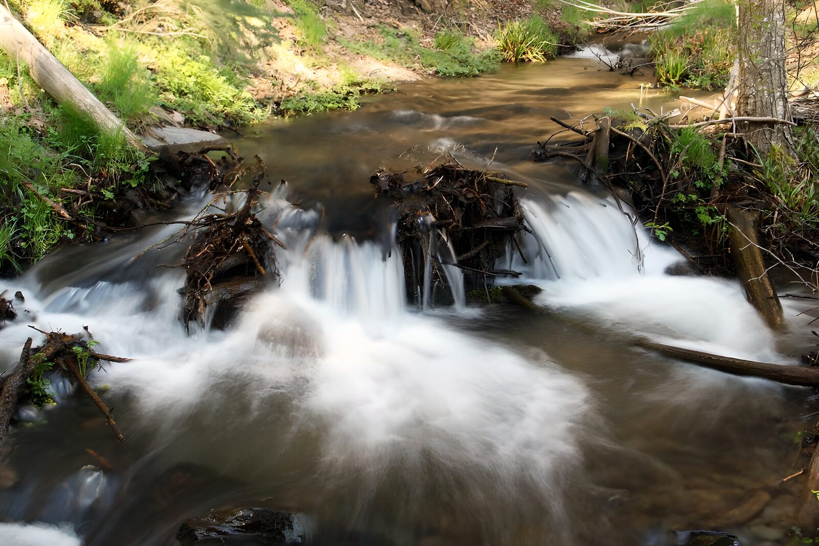 TPES67104: Cintas de agua blanca entre los árboles