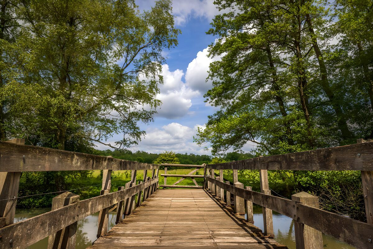 Un puente entre el agua y las nubes