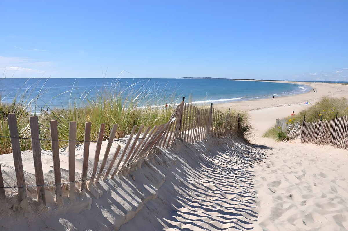 TPES99713: Sendero entre dunas hacia el mar azul