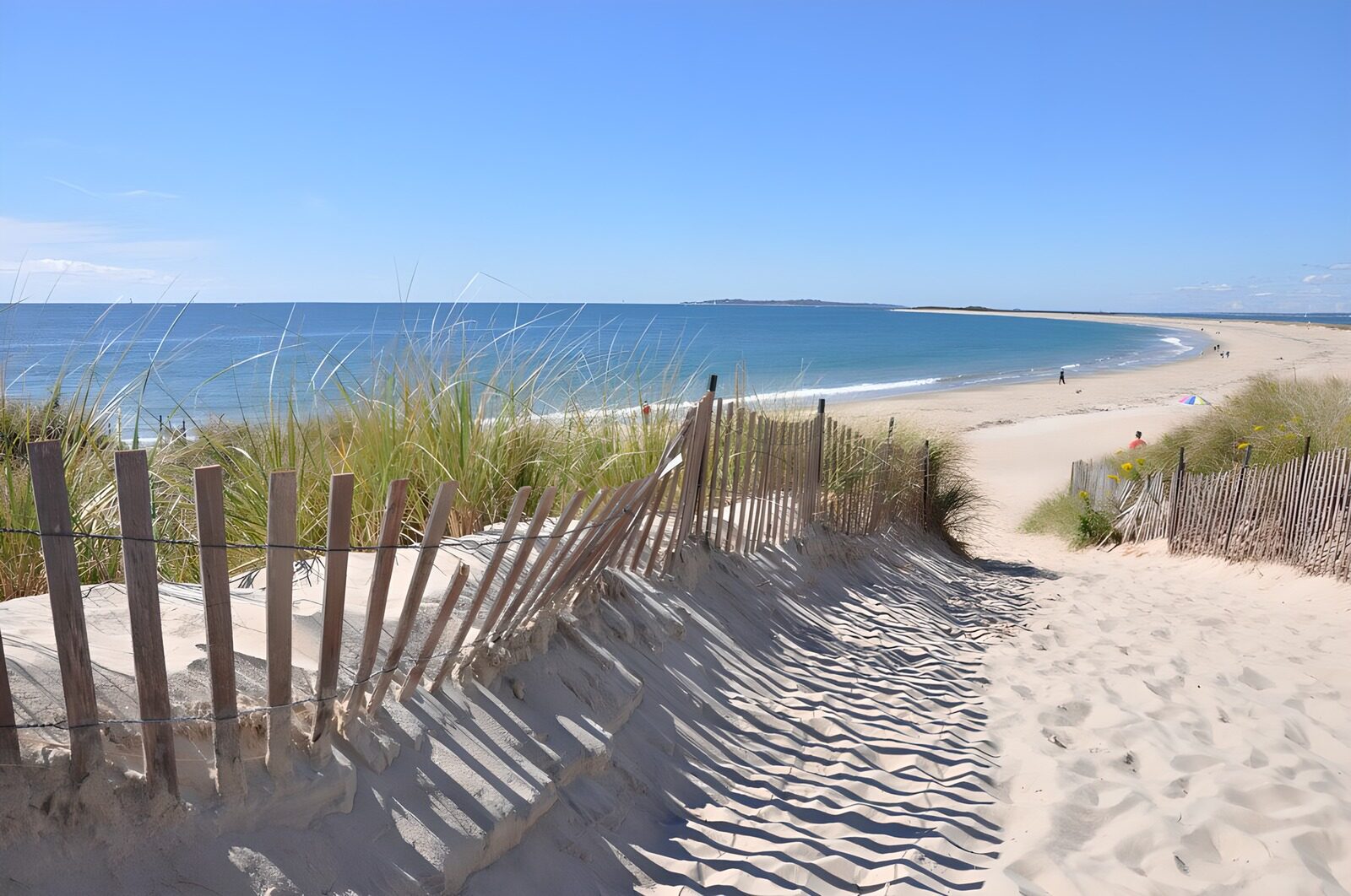 TPES99713: Sendero entre dunas hacia el mar azul