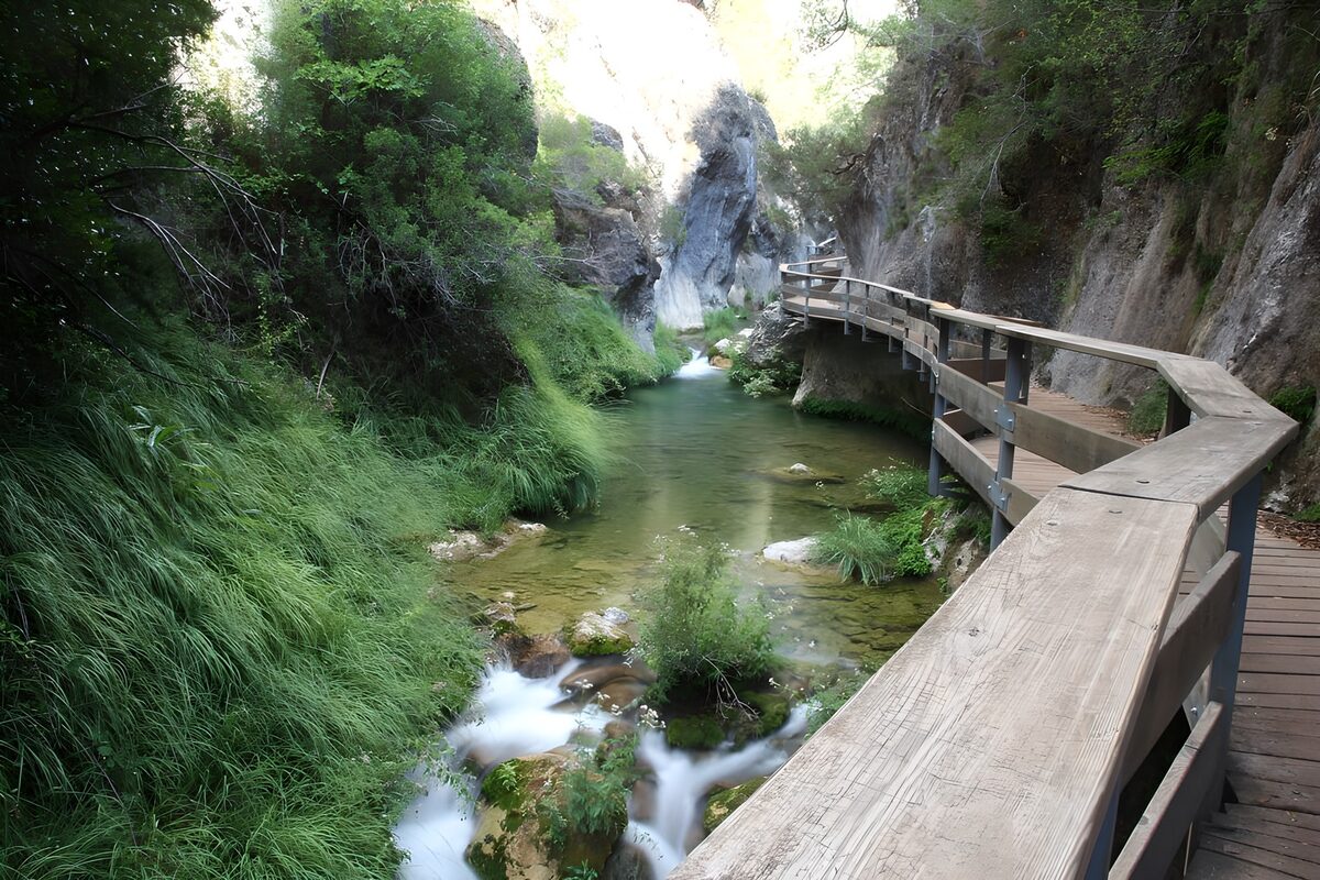 TPES86155: Arroyo y pasarela a la sombra de la roca