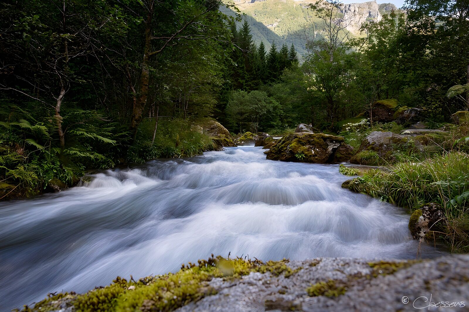 TPES85181: Arroyo entre rocas y bosque