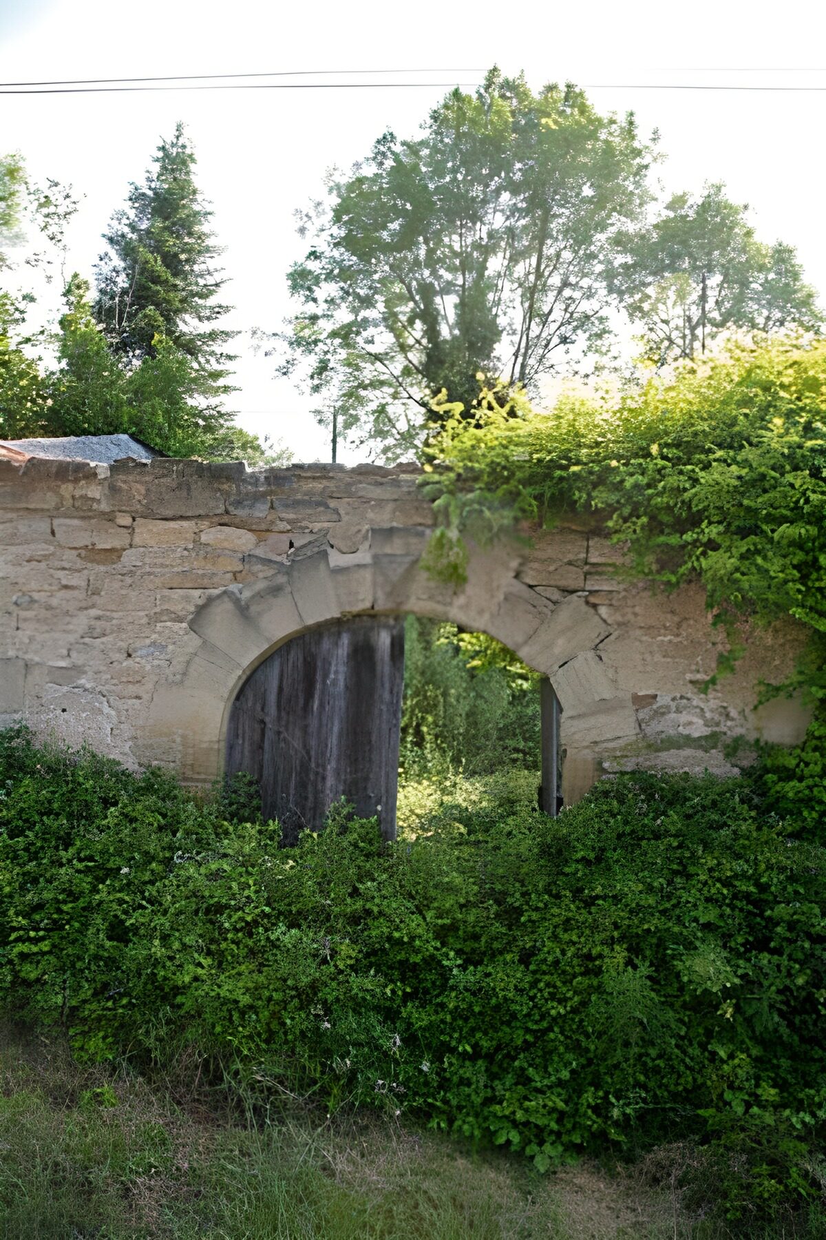 TPES68743: Arco de piedra y puerta entre la maleza