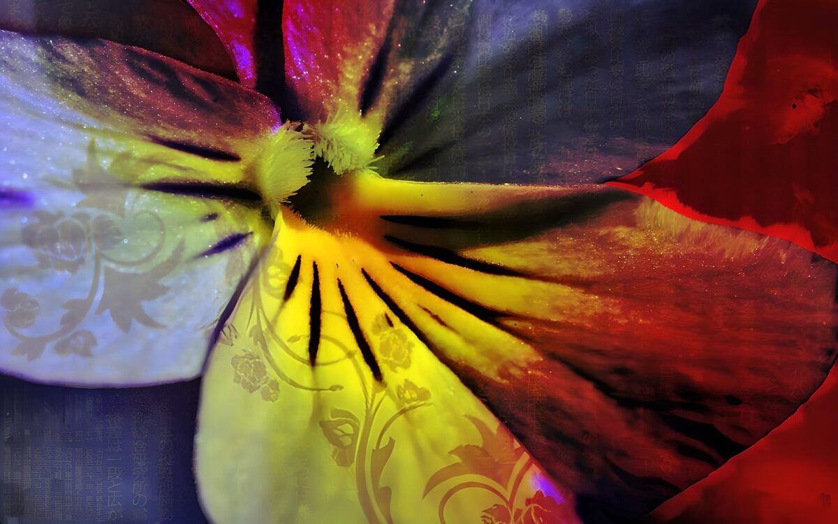 Pensamiento multicolor en primer plano