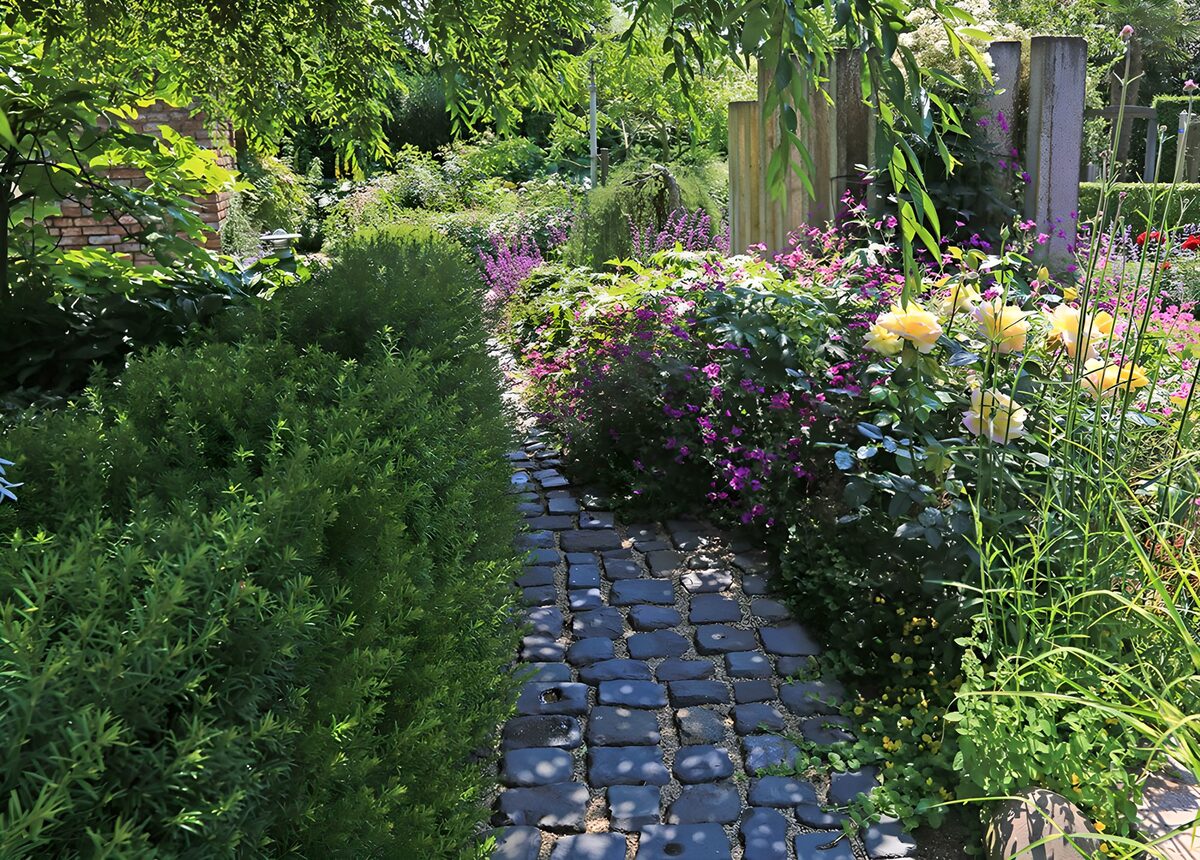 TPES67569: Sendero de piedra entre flores y sombra