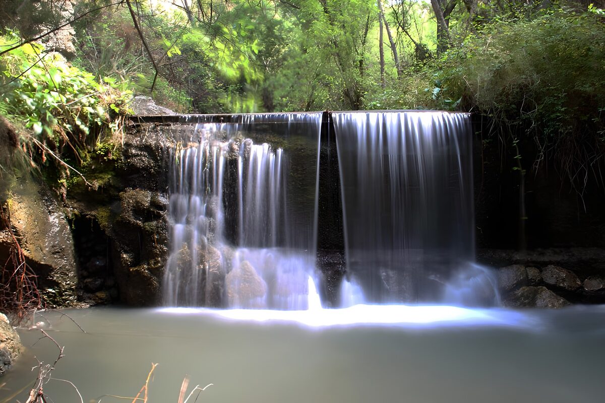 Pequeña cascada y poza entre árboles
