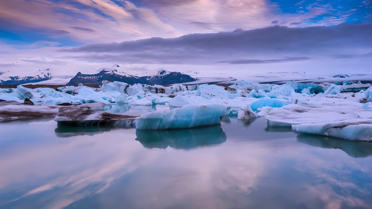 Icebergs bajo un cielo rosa