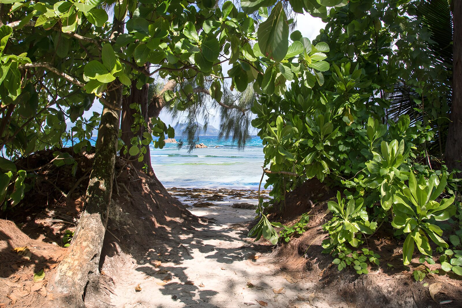 TPES39758: Sendero de arena hacia el mar azul
