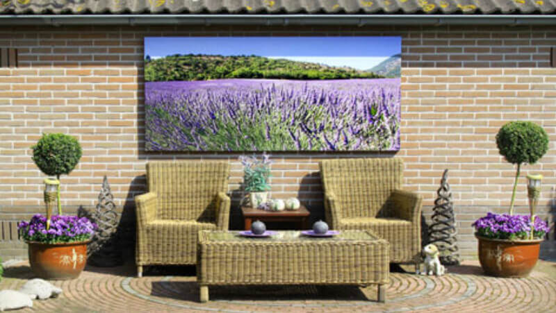 Un hermoso campo de lavanda